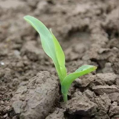 异环全平台公测4月23日定档！网易云游戏免下载，手机电脑随时开战！