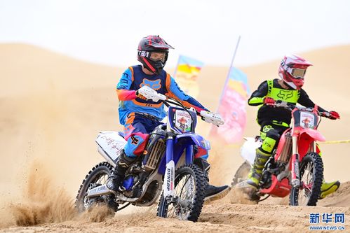 越野摩托预告，极致物理引擎加持，真实越野狂飙感拉满