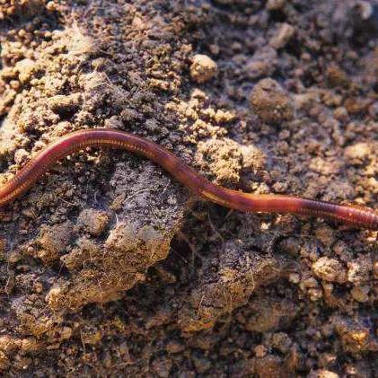 异环4月23日全平台公测定档！网易云游戏免下载，手机电脑随时开战！