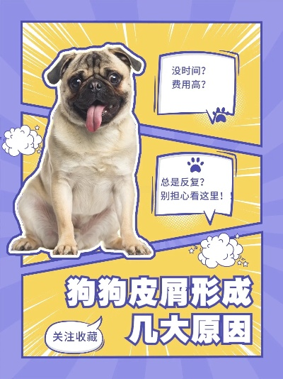 犬皮类型深度拆解，从毛质系数到实战效能的完整评估体系