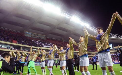 全新赛季起航，桑巴舞者重返绿茵！