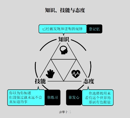 心法选择的底层逻辑，别被面板攻击力骗了