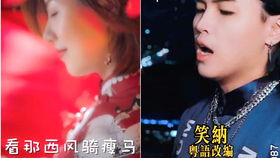 海陆麦迪娜类型2025绝配方案，青魔极限循环与配装黑话全解