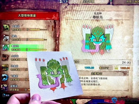 怪鸟生态全图鉴，毒怪鸟/大怪鸟/夜鸟实战差异与2025版肉质表深度解析