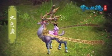 倩女幽魂坐骑大全，从入门到精通，2026实战培养手册