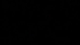 仙剑奇侠传4闪退黑屏怎么办？2025年终极补丁修复指南（含4K高清化）