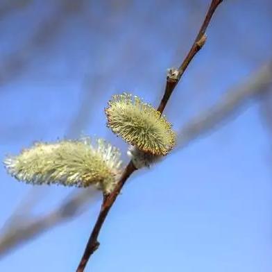 彩虹六号角色上色指南，掌握人类一败涂地色彩技巧