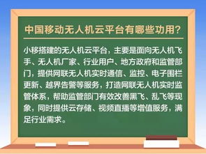 09提高班绝密档案，2025年天梯冲分黑科技与实战心法全解析
