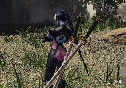 尼尔，机械纪元联动确认？守望先锋泄露引期待