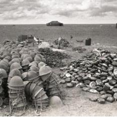 BT岛失联后如何满速下载？2025年P2P网络深度挖掘与种子存活率提升实战