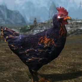 老滚5龙裔种族选择终极指南，2025最强Build揭秘