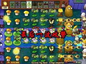 植物大战僵尸27月全平台上线！独家预告首曝