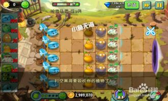 功夫世界核心机制，时空裂缝与僵尸波次的隐藏规则