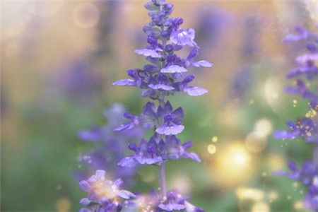 勿忘我存档类型深度拆解，手动备份、云同步与全收集存档应用实战