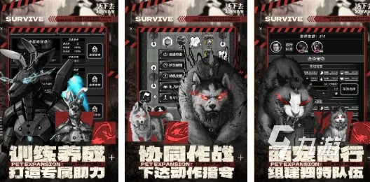 幸存者游戏总暴毙？2026年Q1版本答案与反直觉通关策略