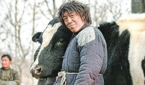 为什么黄渤总能选对剧本？2026年最新主演类型深度拆解与爆款逻辑全揭秘