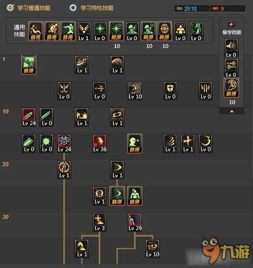 DNF修罗加点2026终极指南，从入门到奥兹玛主C的7种流派全解析