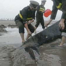 《死亡搁浅2》时间生物学家位置解锁攻略，等级提升奖励揭秘