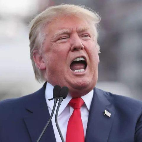 《严阵以待大象任务：揭秘定时炸弹隐藏位置》