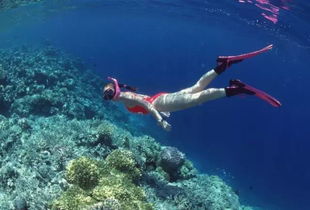 海图三类型深度拆解，航海钓鱼潜水玩家2026选型实战手册