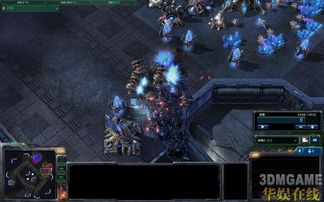 IPL4世界总决赛为何被低估？2012星际争霸2经典战术深度复盘