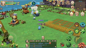 彩虹岛怀旧服战士终极养成指南，2026年最新高效升级与稀有装备全路线揭秘