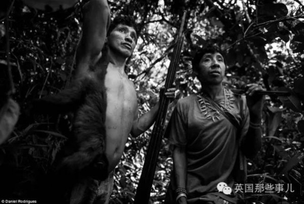 揭秘苏丹乳链，高效获取方法与神秘效果大公开