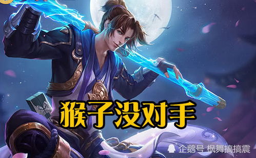 灵猴职业定位，不是简单的刺客翻版