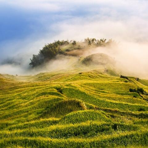 华裔画师绘光晕星河，超炫原画赏鉴攻略不容错过！