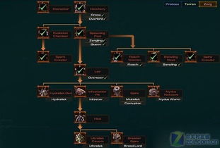 星际争霸2国服破解真相，免费玩、私服与合法替代方案2026年最新技术解析