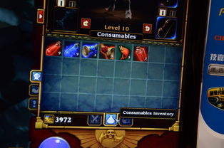 想体验极致快节奏战斗？火炬之光2试玩带你畅快激战！