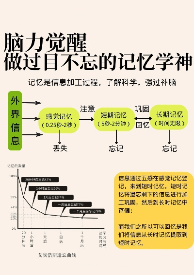 2026脑科学突破，3种健忘类型精准识别+7天记忆重启计划，附自测工具