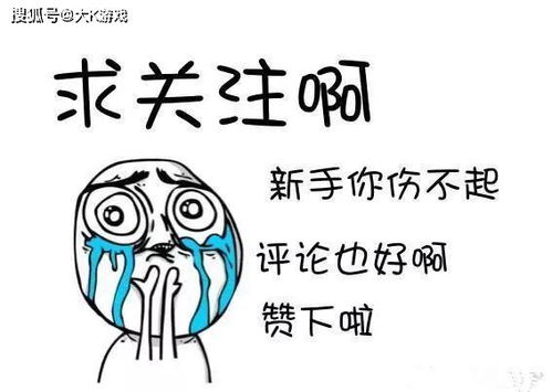 奇诺冲突2，摆脱脸疼困扰，掌握一招制敌秘诀开启轻松格斗之旅