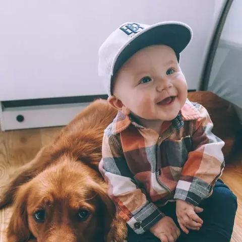 植物大战僵尸2010版无尽模式800关通关秘籍，资深玩家亲测的7个隐藏机制