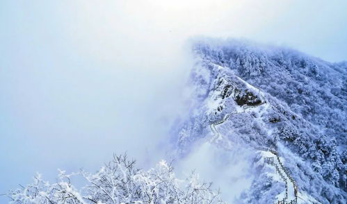 想玩雪景游戏？这十大经典雪天场景游戏盘点你可不能错过！