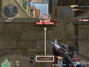 CF官网视频别只看热闹，2026年Q1数据揭示3大实战价值