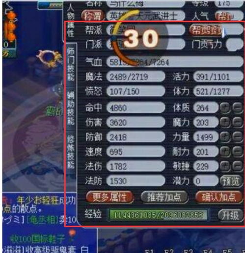 梦幻西游服战视频隐藏密码，2026年1-3月数据揭示版本答案