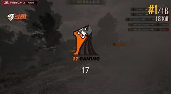 DOA5最后一战2026生存指南，从按键鬼畜到反击大师的48小时蜕变方案