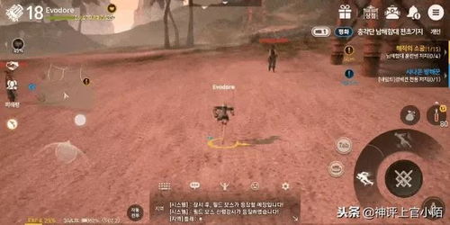 丐帮输出宏还能这么玩？2026最新循环+爆发双宏手法革命