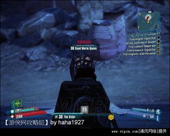 《无主之地2》DLC：斯嘉丽船长宝藏启航，史诗冒险等你来寻