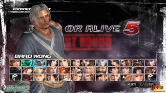 布拉德王、埃利奥特回归死或生5经典角色阵容！