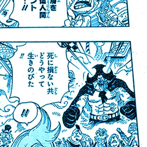 问道宠物强化12最新方法，3月数据揭示成功率真相与隐藏技巧