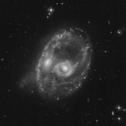 骷髅射手出装2026终极指南，职业赛场冷门套路与路人局上分密码