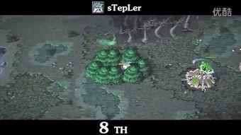 Wodota Top10的四大隐性分类与版本映射