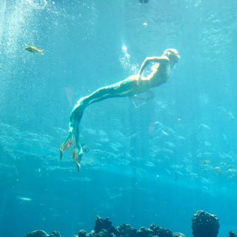 《我的世界》中国版：探索无限可能，开启奇幻冒险之旅