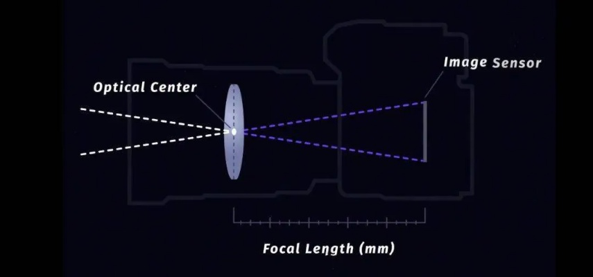 2026弩箭选购终极指南，7大类型实战匹配与避坑全解析