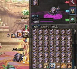 巫医技能搭配2026终极指南，宠物流与魂弹流双流派登顶秘籍