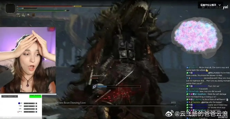 黄金树幽影配装迷思，2026年度数据揭秘T0级Build的隐藏逻辑