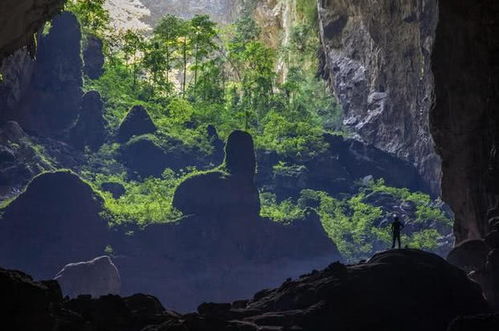 森林之子2026，洞穴生态系统生存指南，反建家流派的版本答案与终极奥义