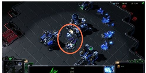 星际2下载类型全解析，2026年新手必看的版本选择秘籍